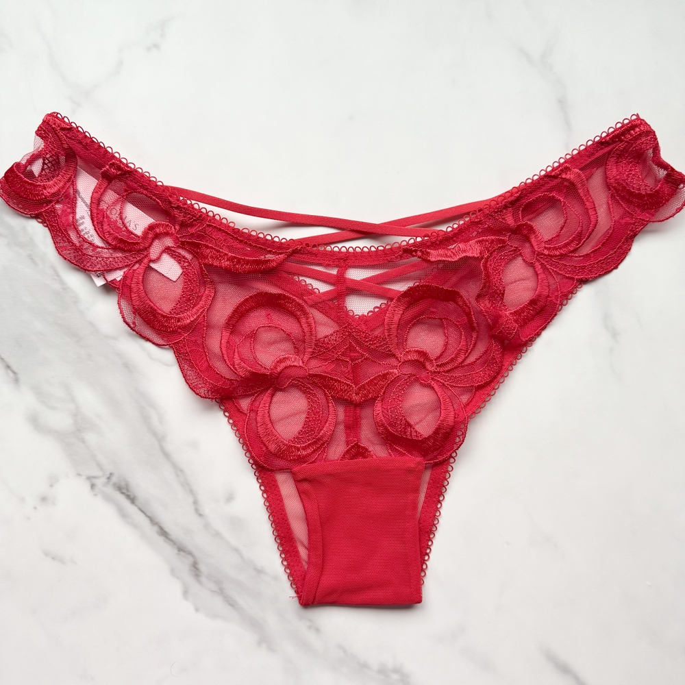 NWT VICTORIA'S SECRET DREAM ANGELS TIED-WITH-A-BOW EMBROIDERY BRAZILIAN PANTY BR